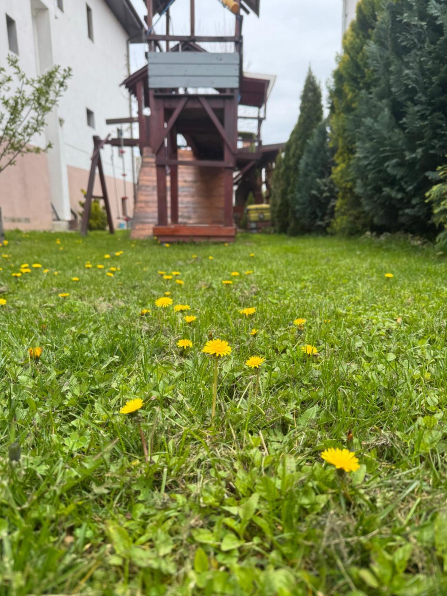 Pensiunea Casa Rica Călimăneşti Eksteriør billede